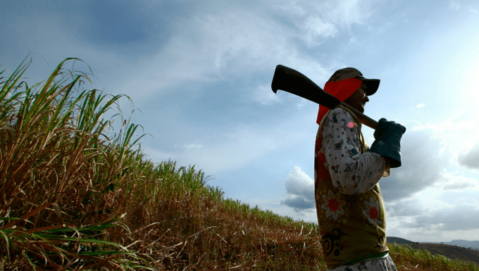 Trabalhador rural receberá adicional de insalubridade por excesso de calor relativo aos 12 meses do ano